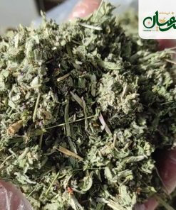 Alternative view of پونه کوهی