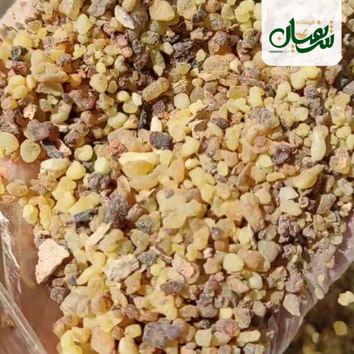کندر دودی