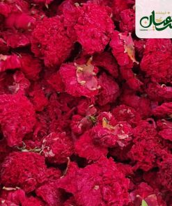 گلنار فارسی