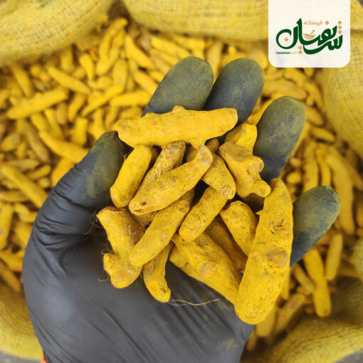 Alternative view of زردچوبه قلم کلاسیک ادویه جان