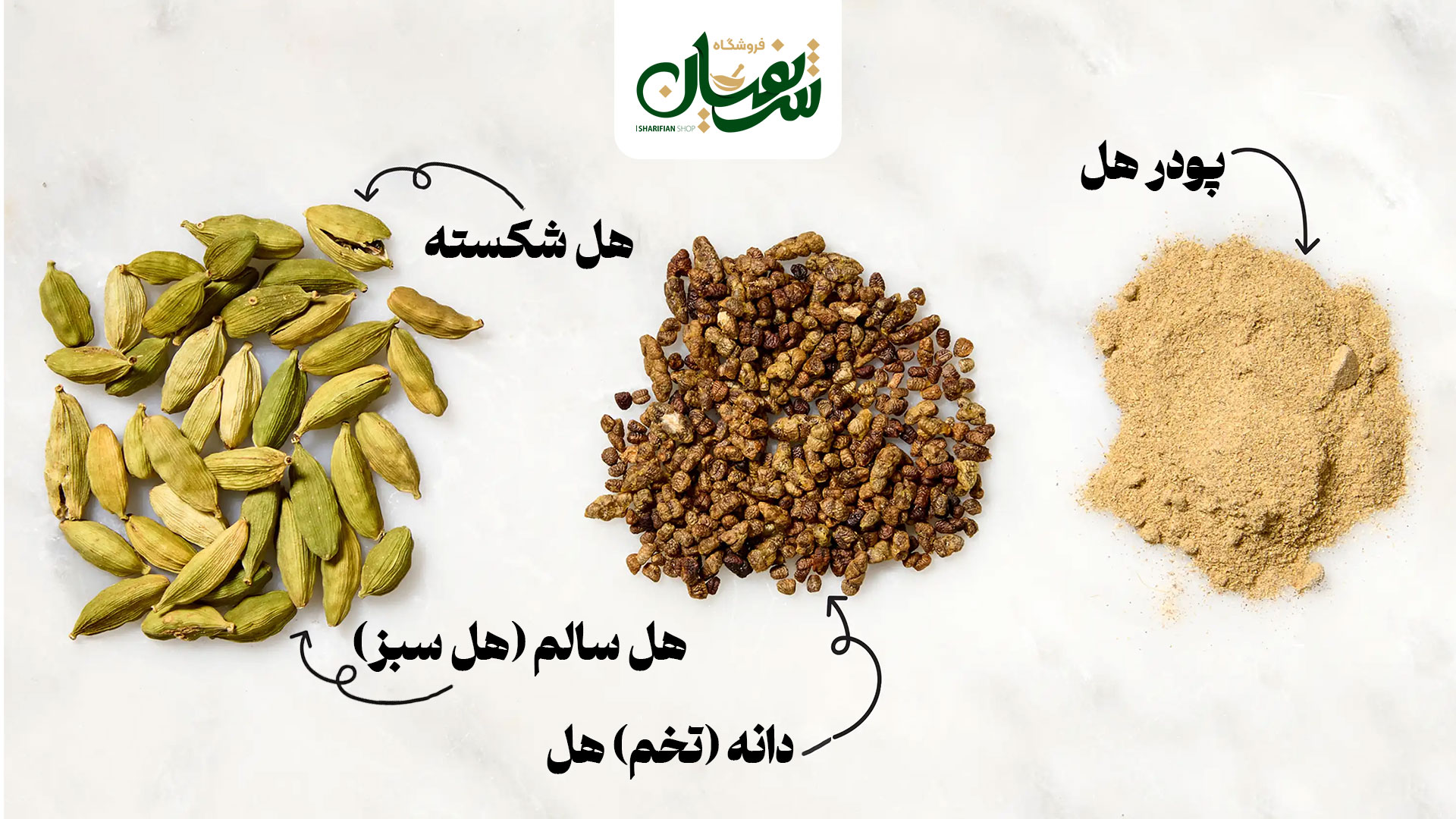 خرید هل به قیمت عمده | فروشگاه شریفیان (۸۰ سال اعتبار)