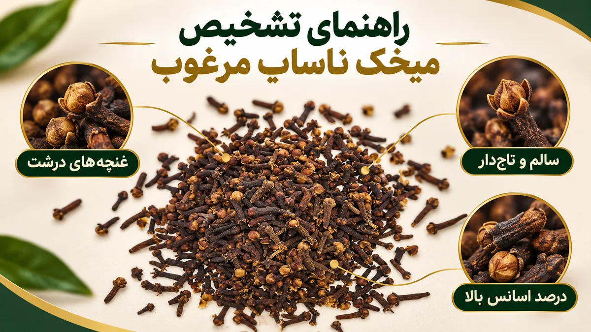 راهنمای تشخیص میخک ناساب مرغوب راهنمای تشخیص میخک ناساب مرغوب