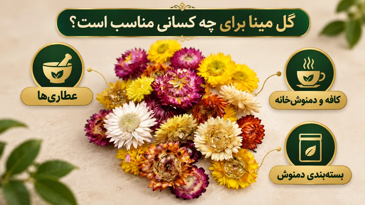 گل مینا مناسب چه کسب‌وکارهایی است؟