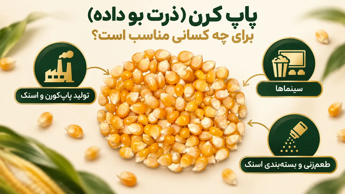 پاپ کرن (ذرت بو داده) مناسب چه کسب‌وکارهایی است؟