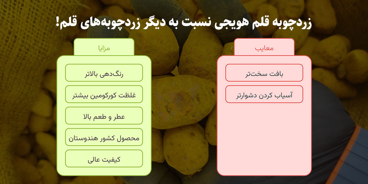 مزایا و معایب زردچوبه قلم هویجی