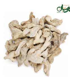 زنحبیل قلم چینی
