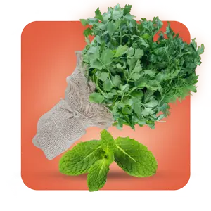 سبزی خشک